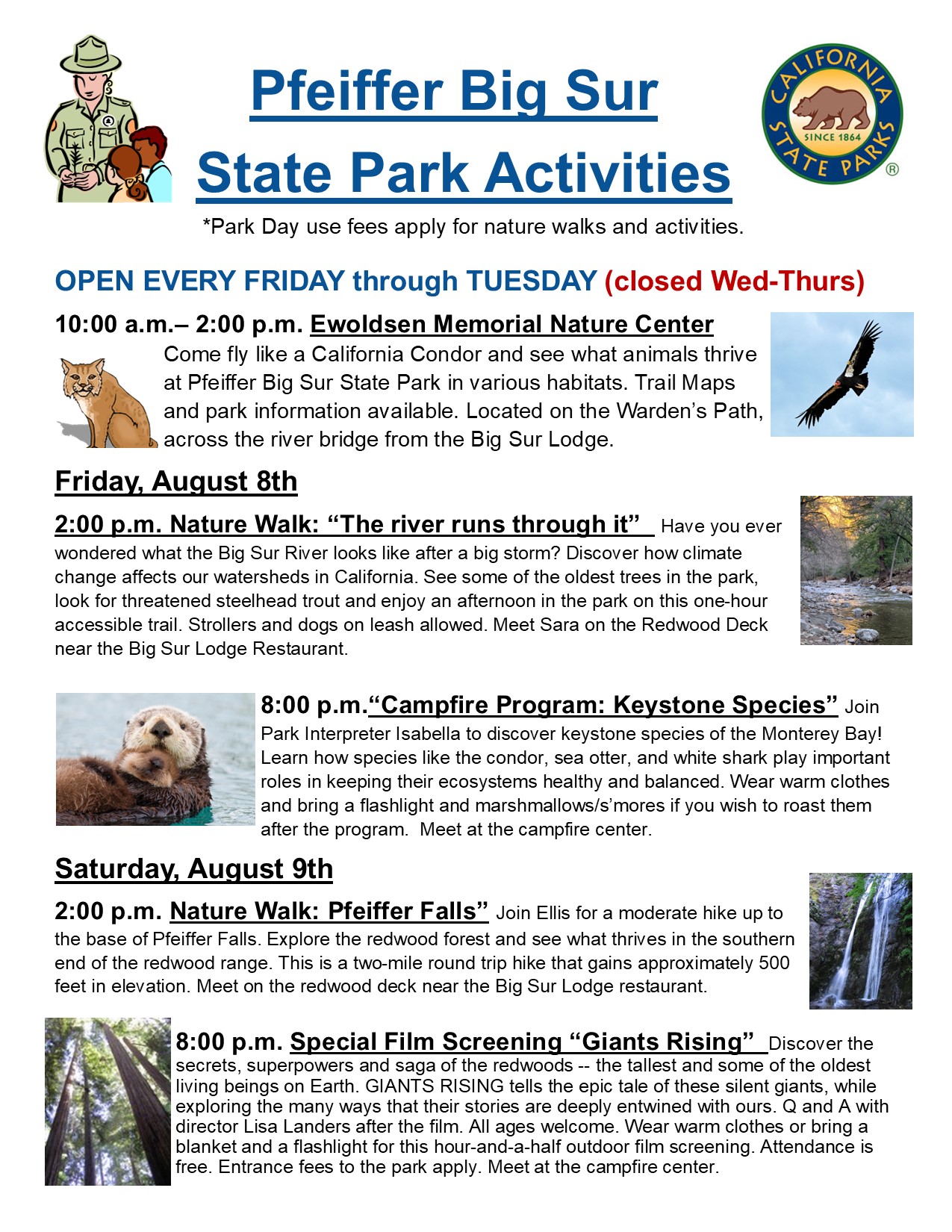 Program Flyer